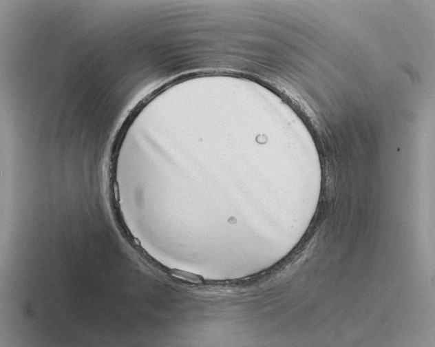 X0000116101085201001040947