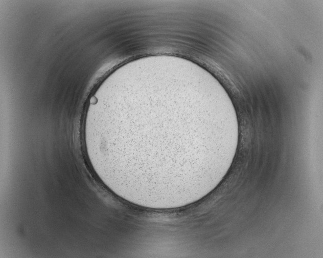 X0000116101086201001040947