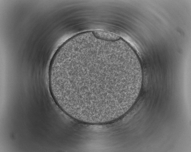 X0000116101088201001040947