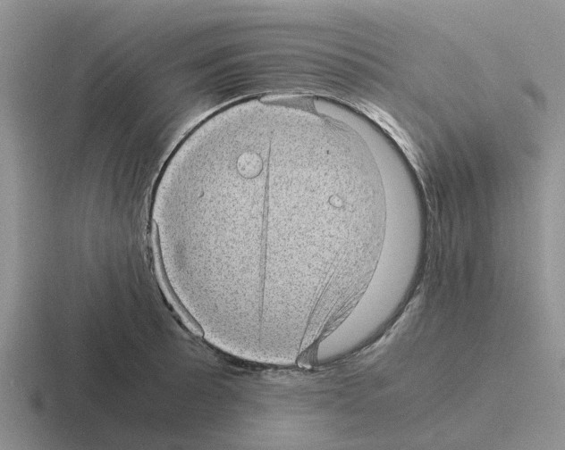 X0000116101089201001040947