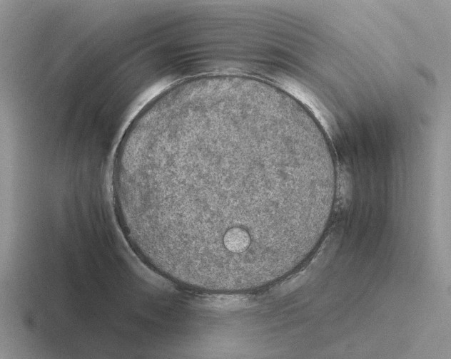 X0000116101090201001040947