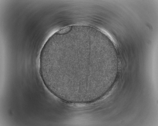 X0000116101095201001040947