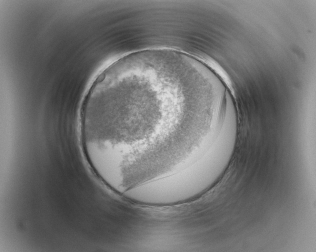 X0000116101096201001040947