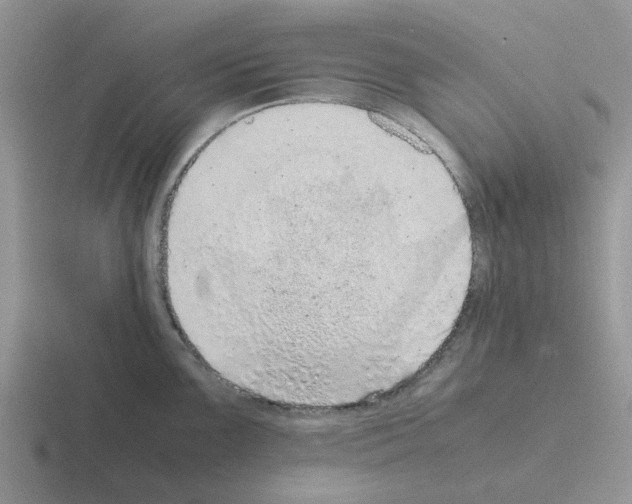 X0000116101099201001040947