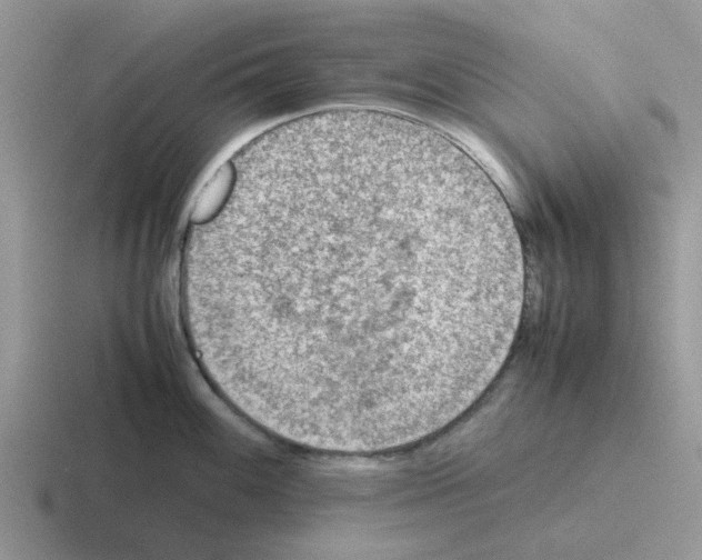 X0000116101100201001040947