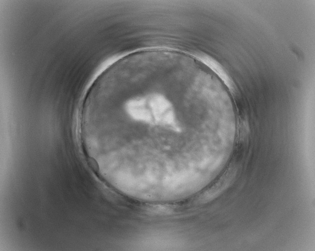 X0000116101101201001040947