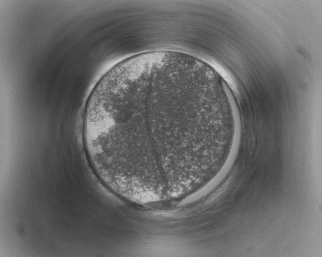 X0000116101102201001040947