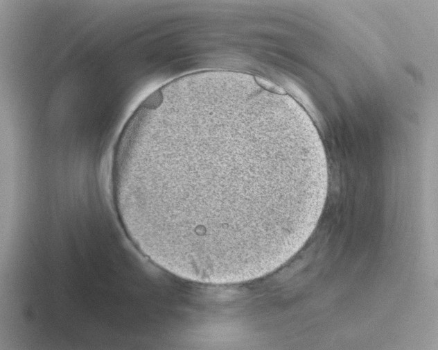 X0000116101103201001040947