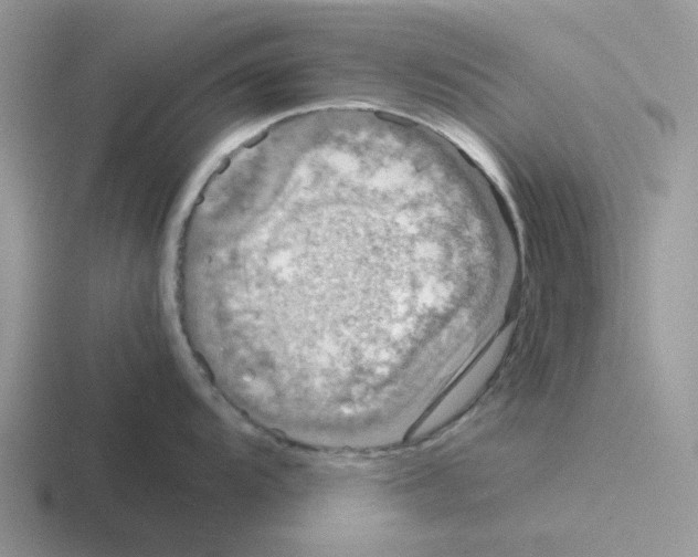 X0000116101104201001040947