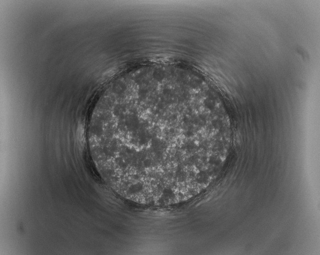 X0000116101106201001040946