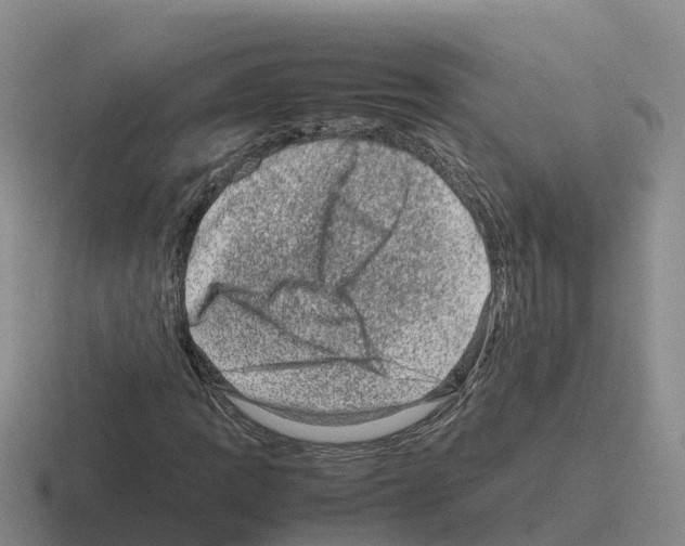 X0000116101109201001040946