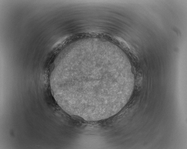 X0000116101110201001040946