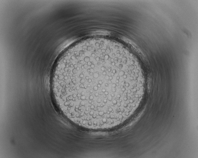 X0000116101113201001040946