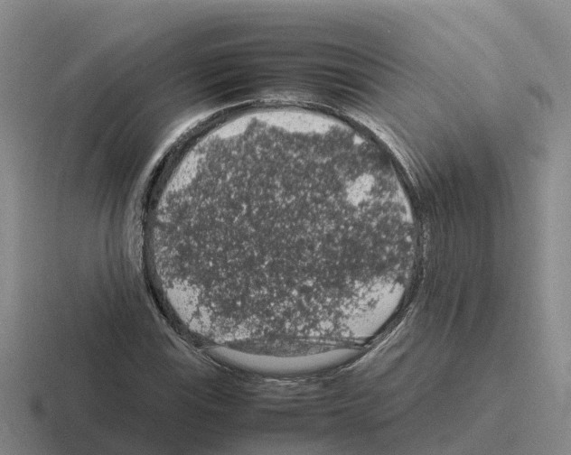 X0000116101115201001040946