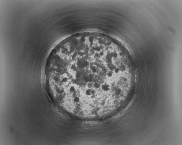 X0000116101117201001040946