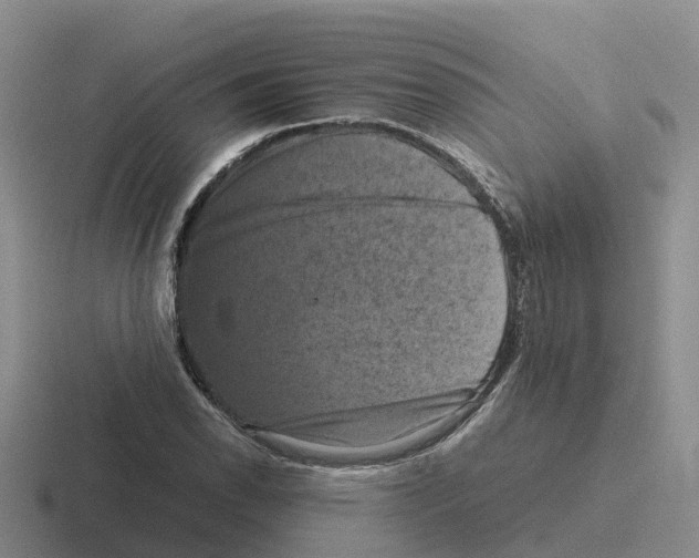 X0000116101118201001040946