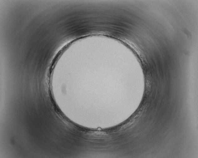 X0000116101119201001040946