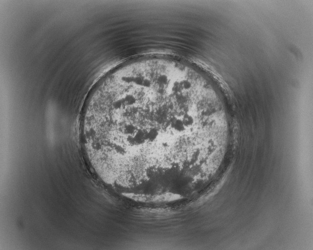 X0000116101121201001040946