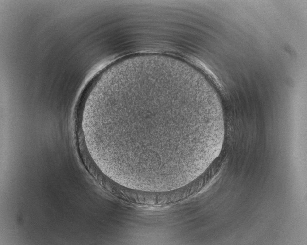 X0000116101122201001040946