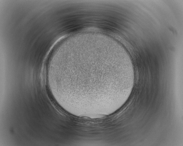 X0000116101123201001040946