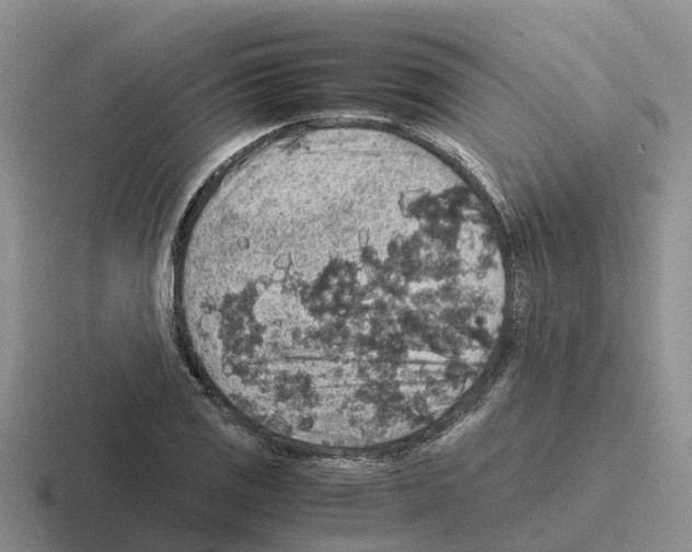 X0000116101125201001040946