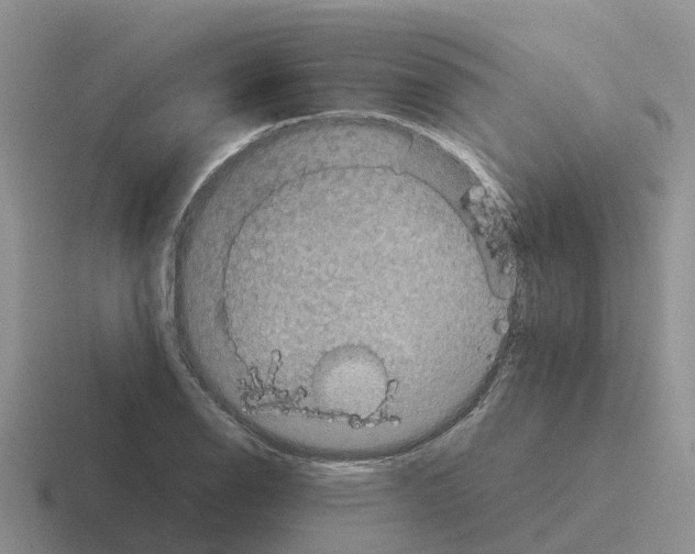 X0000116101126201001040946