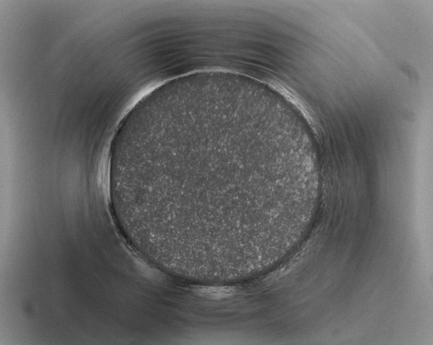 X0000116101127201001040946