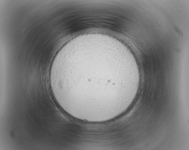 X0000116101129201001040946