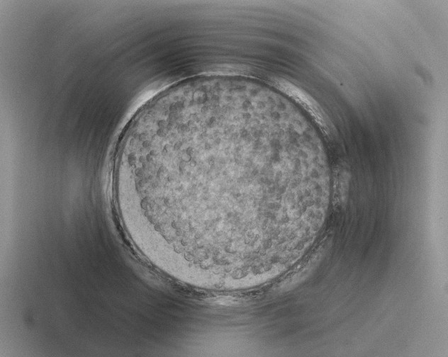 X0000116101130201001040946