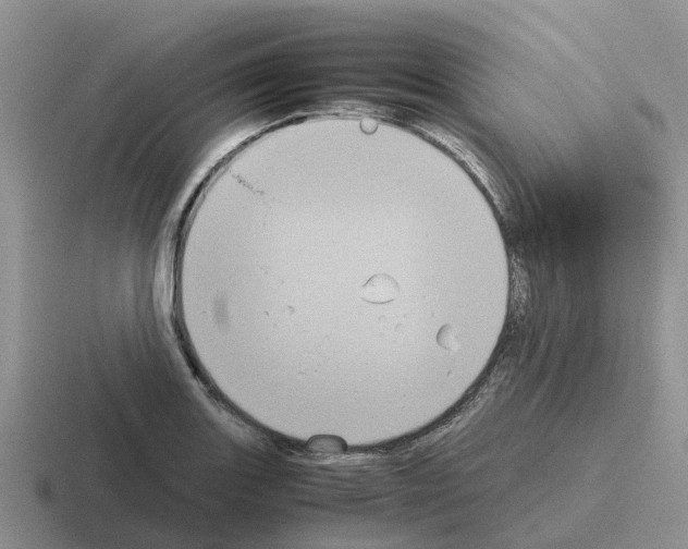 X0000116101131201001040946