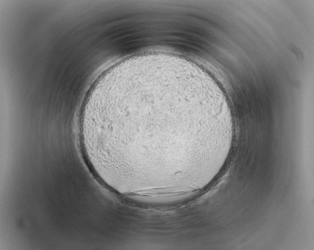 X0000116101133201001040946