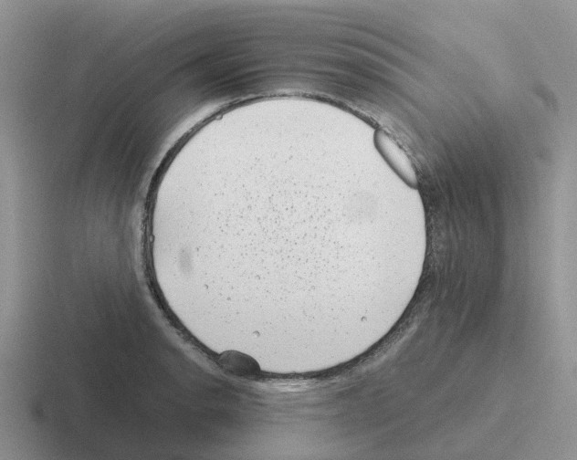 X0000116101134201001040947