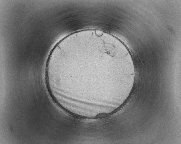 X0000116101135201001040947