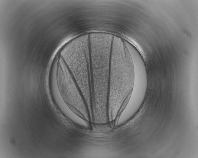 X0000116101138201001040947