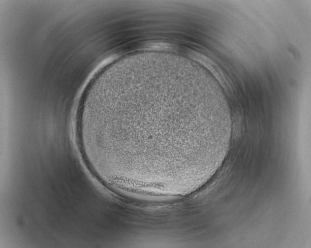 X0000116101139201001040947