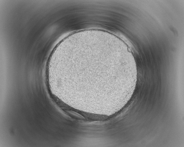 X0000116101142201001040947