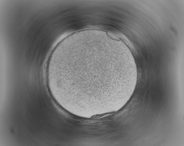 X0000116101143201001040947