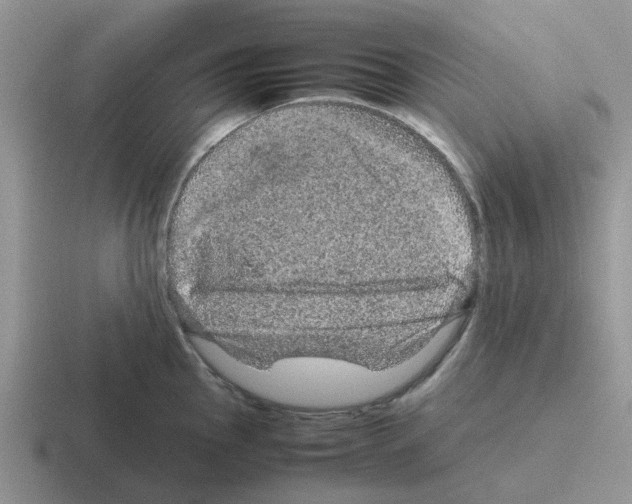 X0000116101145201001040947