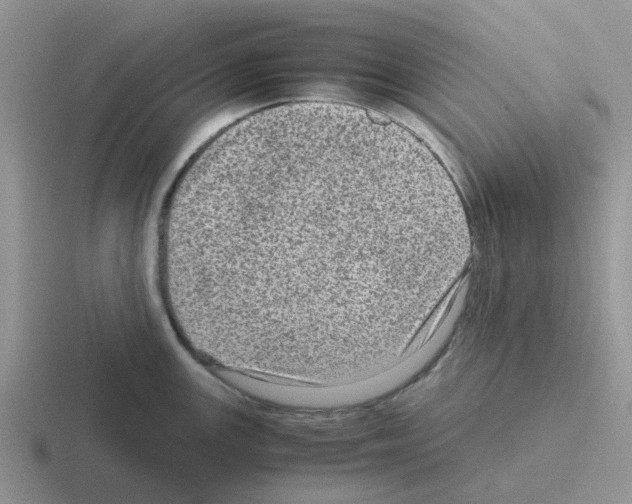 X0000116101147201001040947