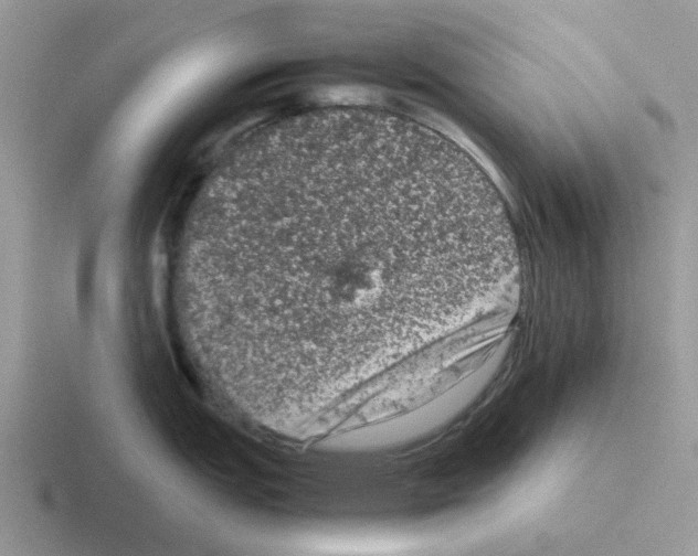 X0000116101151201001040947