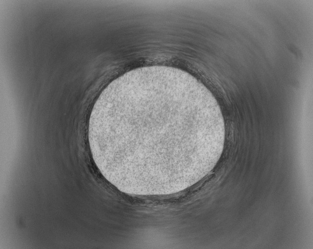 X0000116101153201001040946