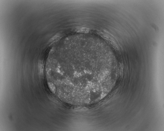 X0000116101154201001040946