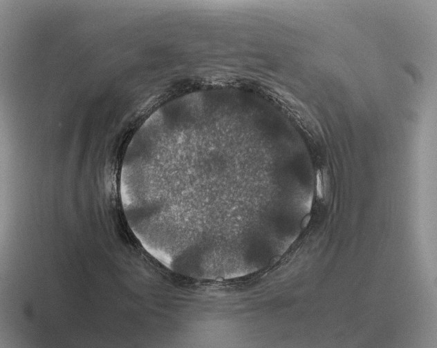 X0000116101155201001040946