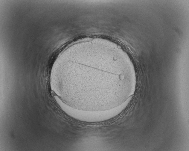 X0000116101157201001040946