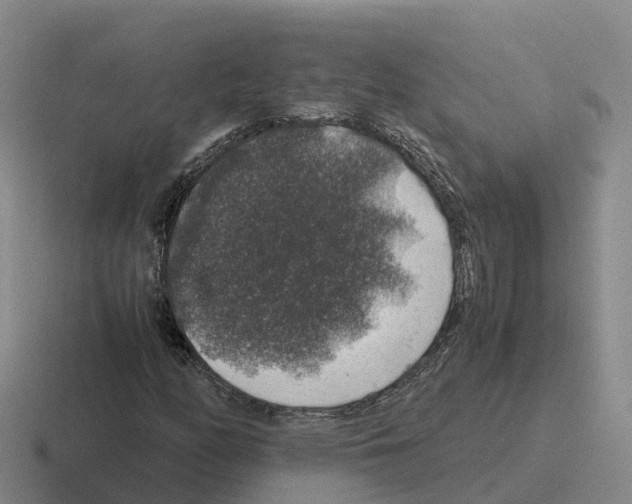 X0000116101158201001040946