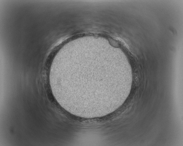 X0000116101159201001040946