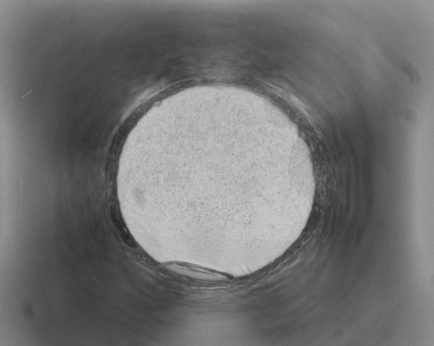 X0000116101160201001040946