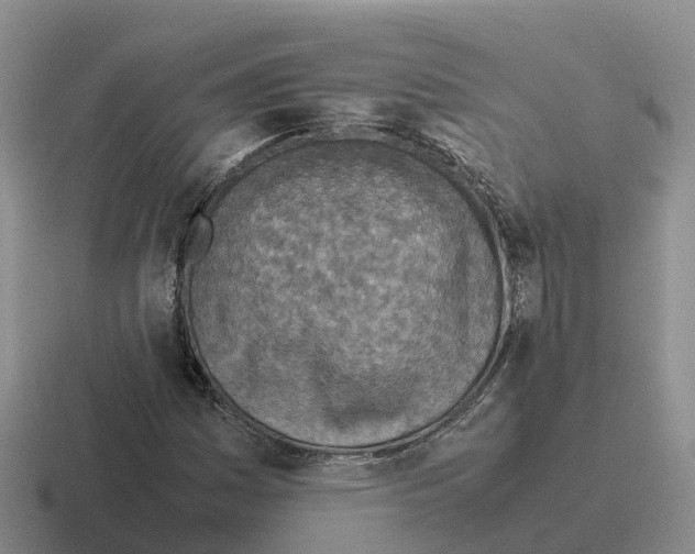 X0000116101161201001040946