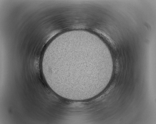 X0000116101162201001040946