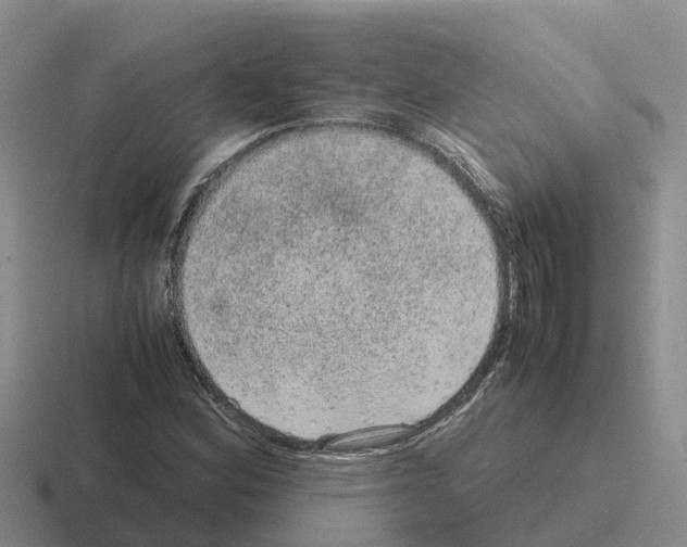 X0000116101164201001040946